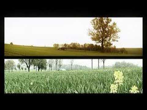 The Good The Bad And The Dead