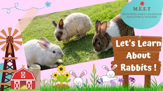 Let&#39;s learn About Rabbits!  preschool learning videos for kids l cute bunny rabbit videos