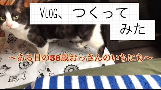 【ブイログ】アラフォー、低所得、アル中の一日【vlog】