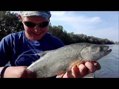 Bucov sa Brbora na UL - C&R