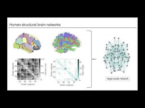 Cosyne 2020 Workshops - Lia Papadopoulos - Role of dyn. state in large scale network perturbation