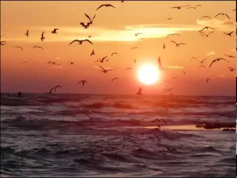 Tony de la Alba -  Doamne cand vei veni  (Doina)