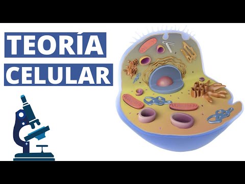 The CELLULAR THEORY explained: History and its 3 Postulates🔬
