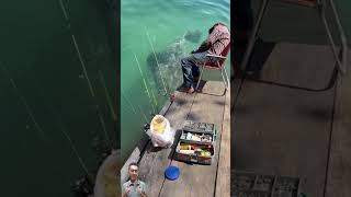 Download lagu Ketiduran Saat Mancing Ikan Kerapu, Bapak Ini Malah Terjebur❗😱 mp3