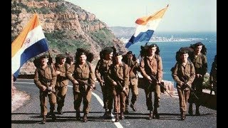 Seven Nation Army can't stop the Boers