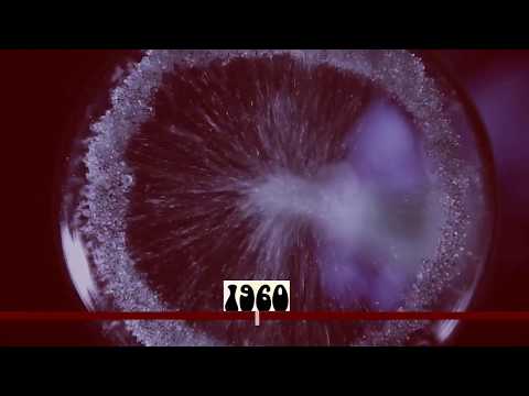 THE EVOLUTION OF MUSIC - from 1700 to 2018 in 12 minutes