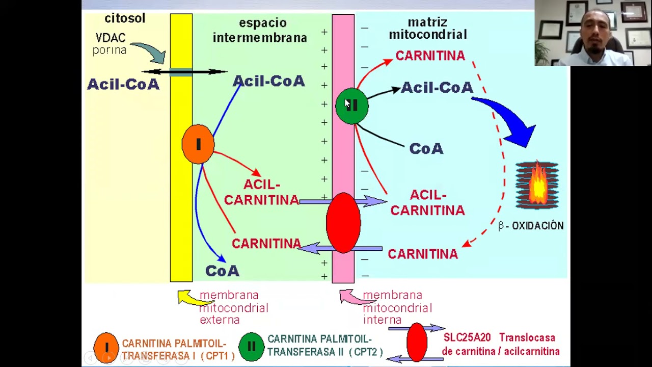 Francisco Ariel Navarrete Acosta-44