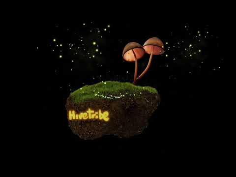 Hivetribe - Vseshvit: Under the Magic Mushroom Hat Mix [Chill Space Mix Series 041]