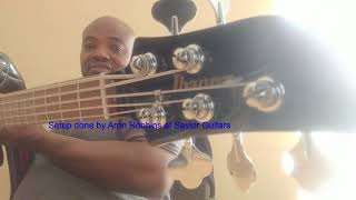 Video thumbnail for ***Budget Bass Series***-Ibanez TMB 105 5-String Demo by Gruvlow