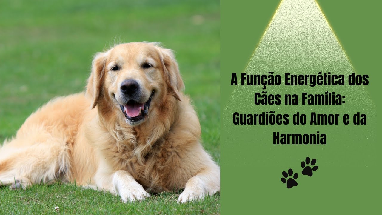 A Função Energética dos Cães na Família: Guardiões do Amor e da Harmonia
