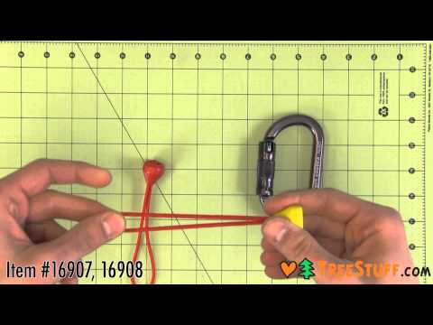 YouTube Thumbnail teDzLXhnQ2A