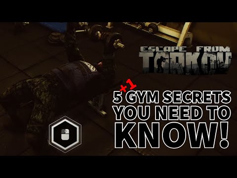 Tarkov Gym Complete Guide! - How to Build, What it does, & More!