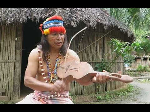 Icaro Ayahuasca Canto Chamanico Sanador de la Medicina Tradicional Amazónica