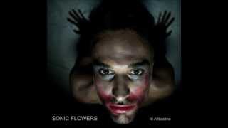Sonic Flowers - Il delirio del presidente Schreber
