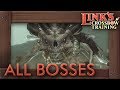 Link 39 s Crossbow Training All Bosses no Damage