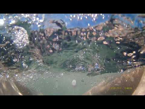 Kroatien Umag 2017 Schnorcheln