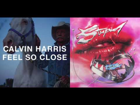Lady Gaga x Calvin Harris - Feel So Close / Stupid Love (Mixed Mashup!)