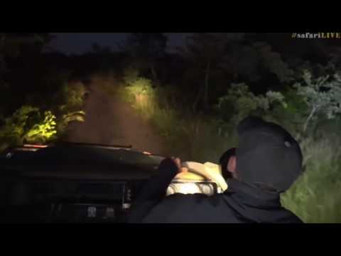 March 13, 2017- The Lion Song by James Hendry and backup by Bryan Joubert