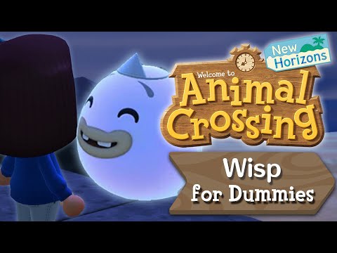 Wisp for Dummies