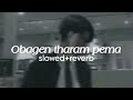 Obagen Tharam Pema Slowed Reverb