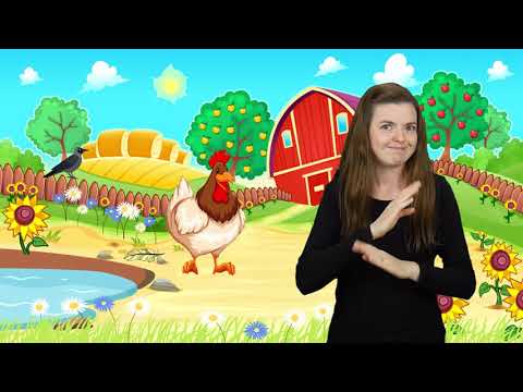 Migane Wiersze 2.0 - WYSZŁA KURA NA PODWÓRZE czyta Wiktor Zborowski