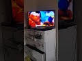 Opening To Timon And Pumbaa Big Adventures 2000 Vhs