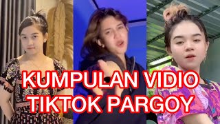 Download lagu KUMPULAN VIDIO TIKTOK PARGOY PART 3... mp3