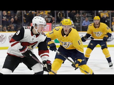 Reviewing Predators vs Coyotes Game Four