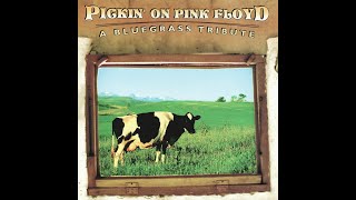 Bill Flores - Wish You Were Here (Pink Floyd Bluegrass Cover)