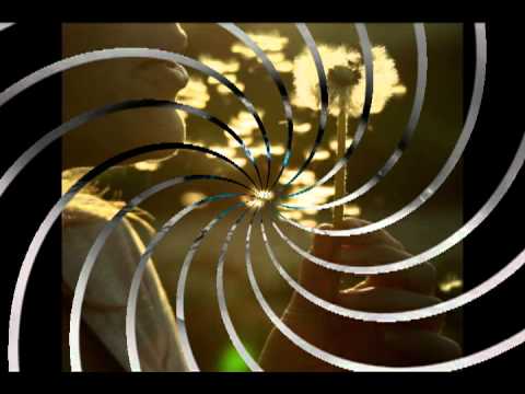 Aj keby nekvitol fík