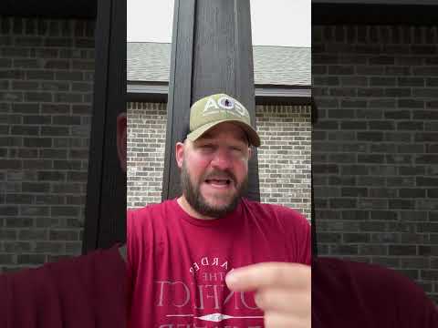 The Left Is Throwing Schumer Under The Bus… & It’s Hilarious. #shortsfeed #shortsvideo #congress Thumbnail