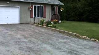 Dog Training: Dogs barking at us!