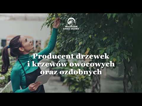 Zobacz filmy, Szkółki Drzewek Waleczek, Mnich