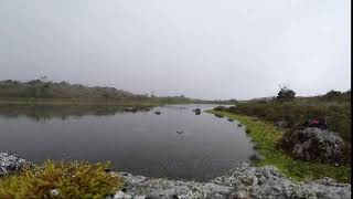 Timelapse at the Moor