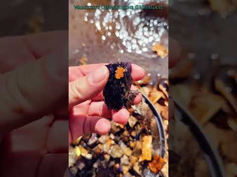 Złotoryja – Płukanie minerałów ciężkich w potoku