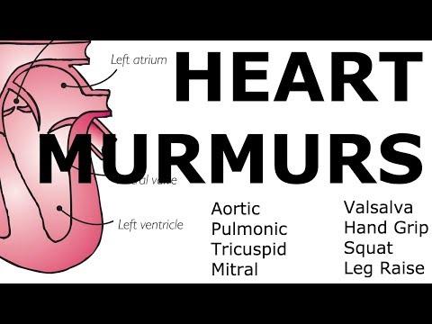 Heart Murmurs | Locations, Maneuvers, Buzzwords