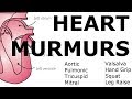 Heart Murmurs Locations Maneuvers Buzzwords