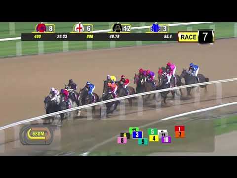 Mikki Joy nose to victory in The New Paper Cup 2019