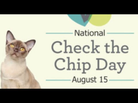Check the Chip Day (August 15) - Activities and How to Celebrate Check the Chip Day