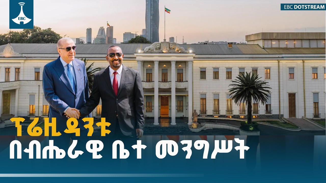 ​የቱርክዬ ፕሬዝዳንት ረጀብ ጠይፕ ኤርዶዋን በብሔራዊ ቤተ መንግሥት ያደረጉት ጉብኝ?