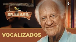 Miniatura do vídeo