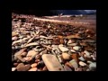 David Sanborn   A Change of Heart