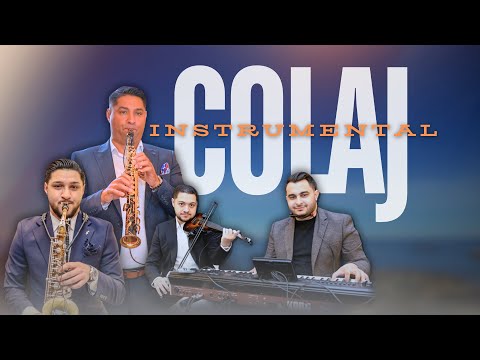 Vasile & David Mocanu & Pavel Zeta & Alex Bahica - Colaj Instrumental 2024 ( AUDIO )