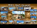 FULL BAG HUNTING SAFARI 17 Full Hunts