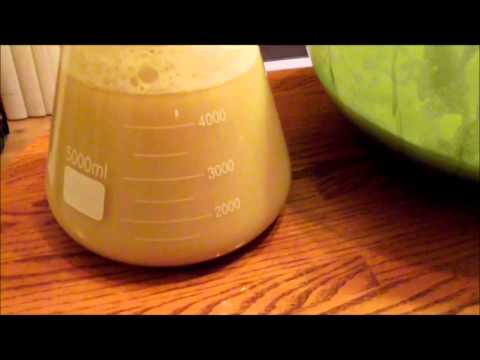 Home Brew Wednesday #18 Short Update