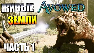 Скайрим 2 Играем?) Avowed Новинка! — Часть 1: Эмиссар Аэдира