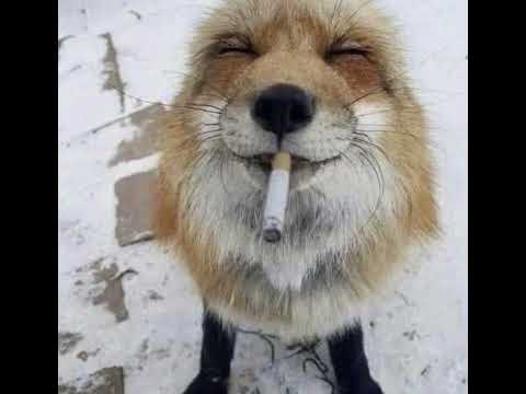 [1997] Bit 104 Dj's - Excited