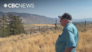 Kamloops dairy farm out of water after irrigation source runs dry