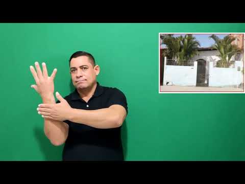Miniatura do vídeo: Terreiro 032