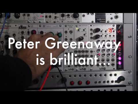Mutable Instruments Sheep (Tides) DIY build feat. Oscillosaurus panel & white knobs image 2